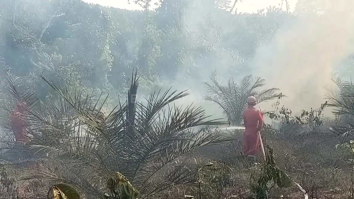 Karhutla Muara Badak ditangani 18 personel PT TSB selama lebih enam jam untuk mencegah api meluas. (IST)