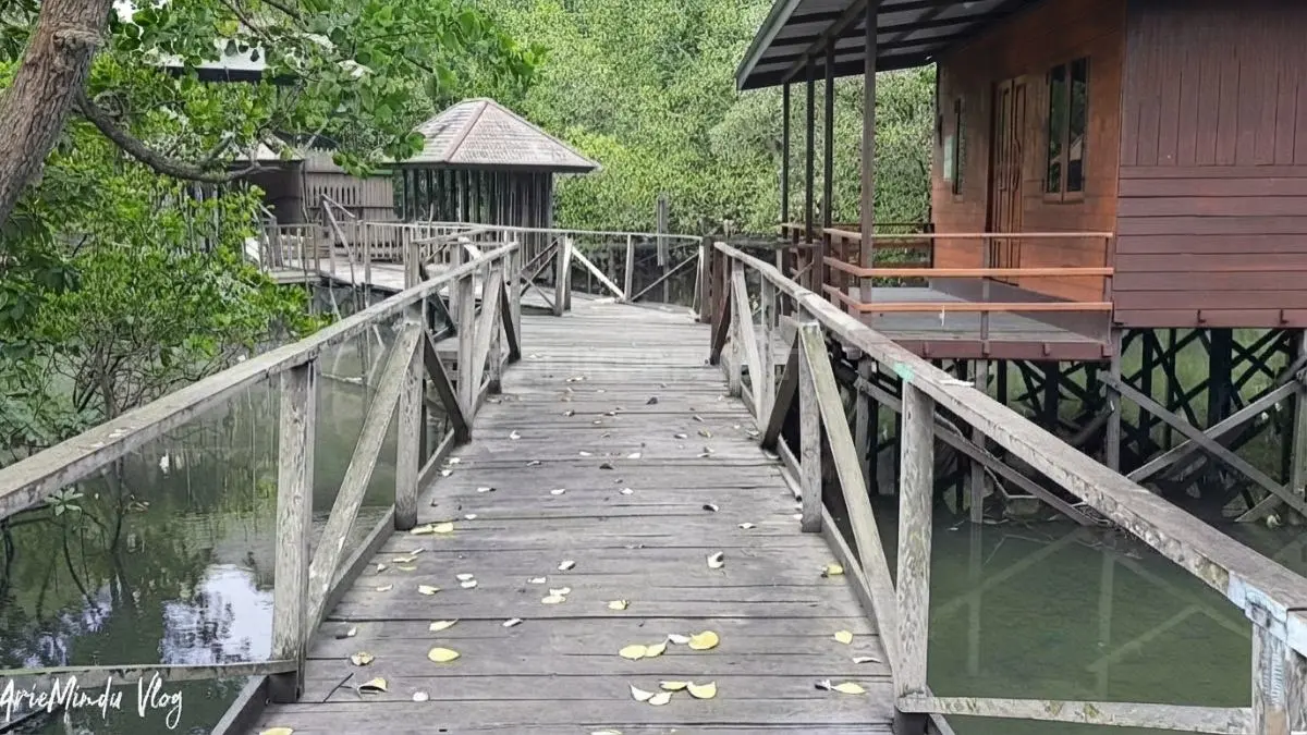 Kawasan mangrove Margomulyo menjadi habitat berbagai jenis flora dan fauna pesisir Balikpapan.