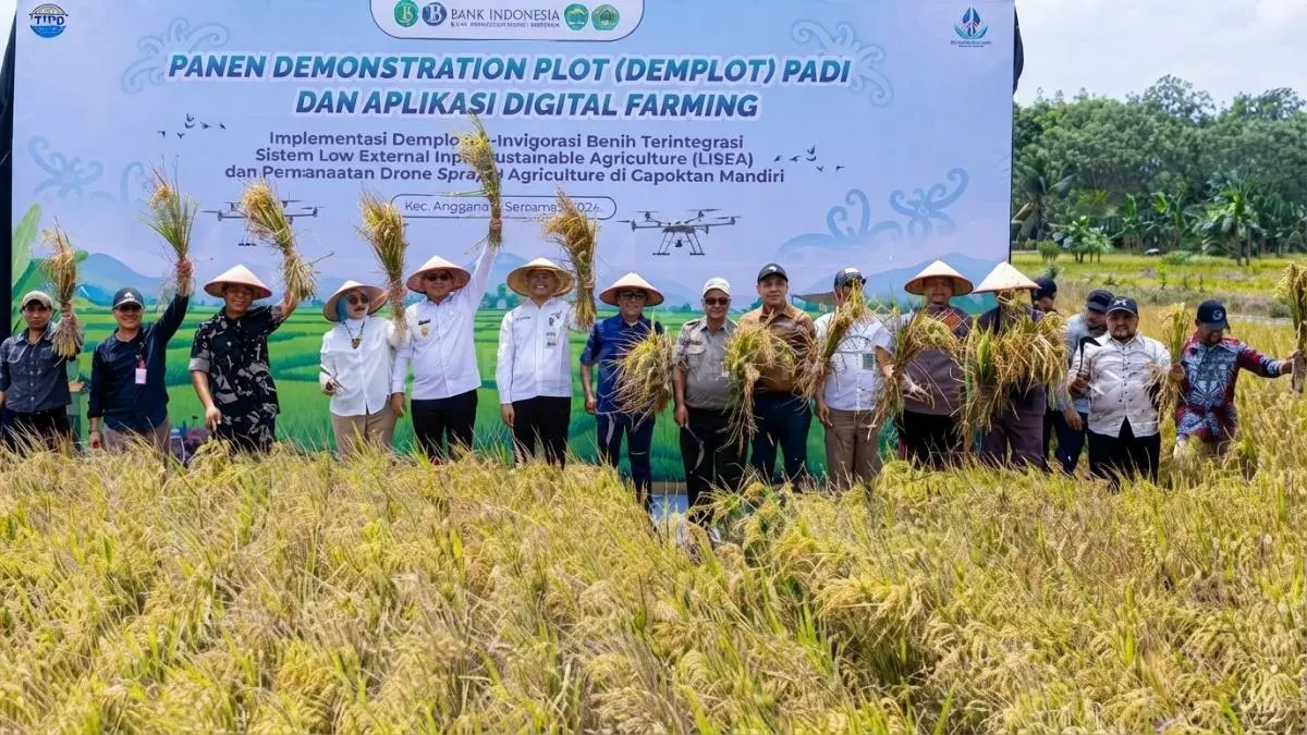 Panen perdana padi berbasis LEISA dan pertanian digital di Desa Sidomulyo, Anggana, Kutai Kartanegara.