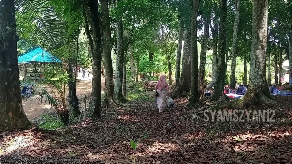 Pepohonan mahoni menaungi gazebo keluarga di Bukit Mahoni Bangun Rejo, Tenggarong Seberang yang asri