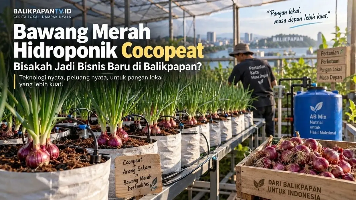 Bisakah bawang merah lokal tumbuh dari media cocopeat dan menghasilkan angka bisnis yang masuk akal?