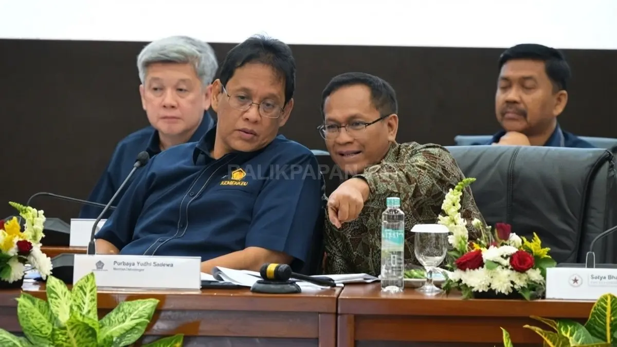 pengelolaan aset dan investasi Danantara yang berkaitan dengan dividen BUMN untuk kepentingan negara.
