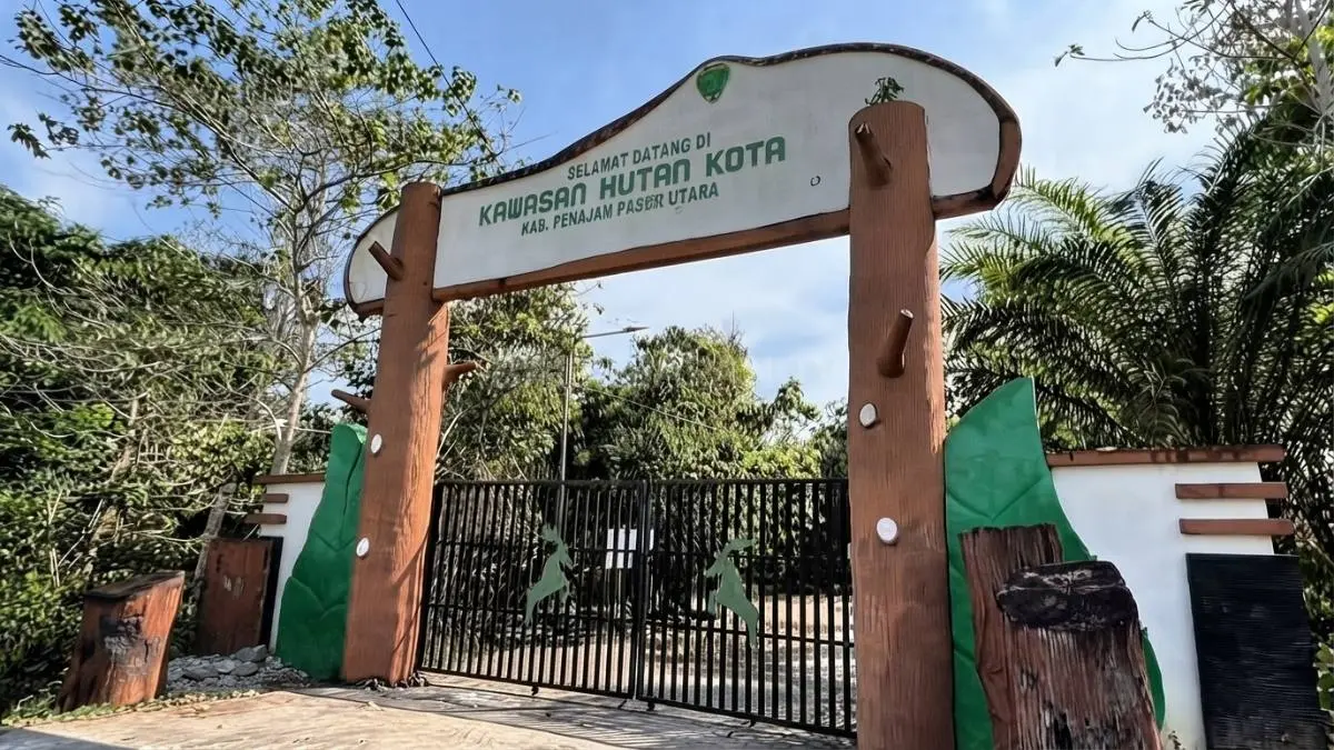 Hutan Kota Nipah-Nipah PPU diusulkan dilengkapi menara pantau dan bozem senilai Rp5 miliar untuk antisipasi karhutla. *(Sumber: YouTube Balikpapan TV)*