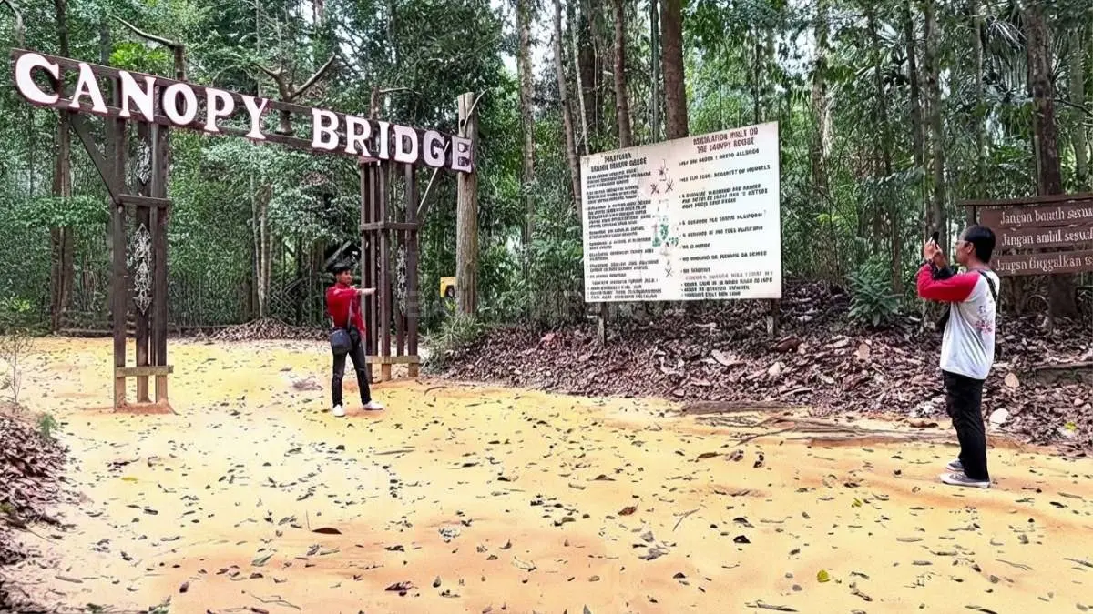 Pengunjung menyeberangi Canopy Bridge Bukit Bangkirai yang membentang sekitar 30 meter di atas lantai hutan.