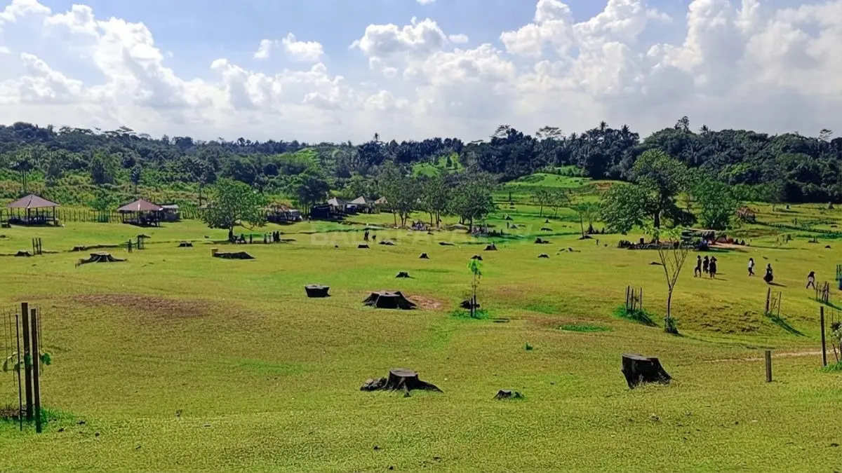 Pengunjung menikmati suasana terbuka Bukit Kebo Balikpapan dengan hamparan rumput hijau dan panorama perbukitan.