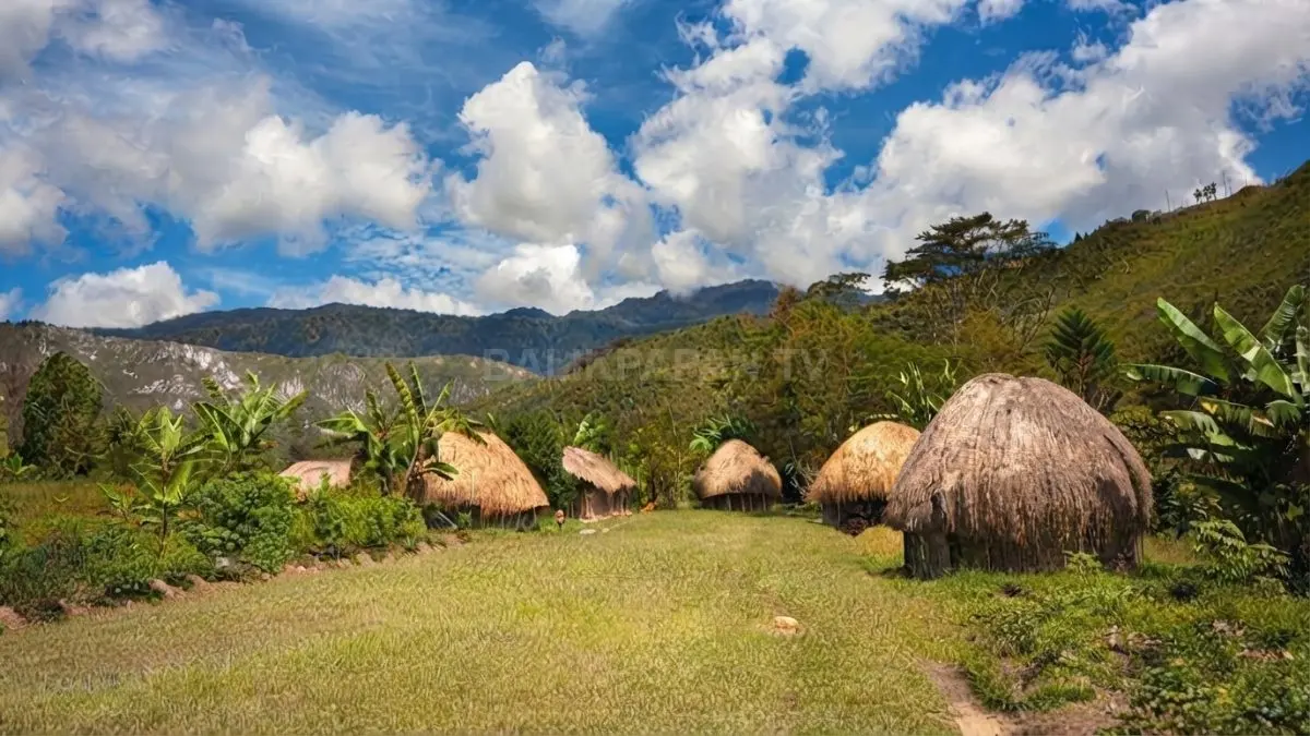 Rumah Honai berbentuk bundar, hangat, sederhana, dan menyesuaikan kondisi pegunungan Papua (BTV/AI).