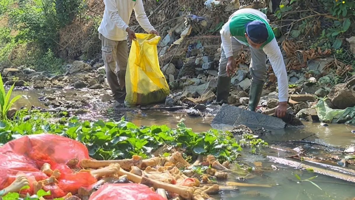 Tumpukan tulang hewan ditemukan di Sungai Parit Pelaihari, asal limbah masih dalam penelusuran.  (Foto: MPAI My Darling)