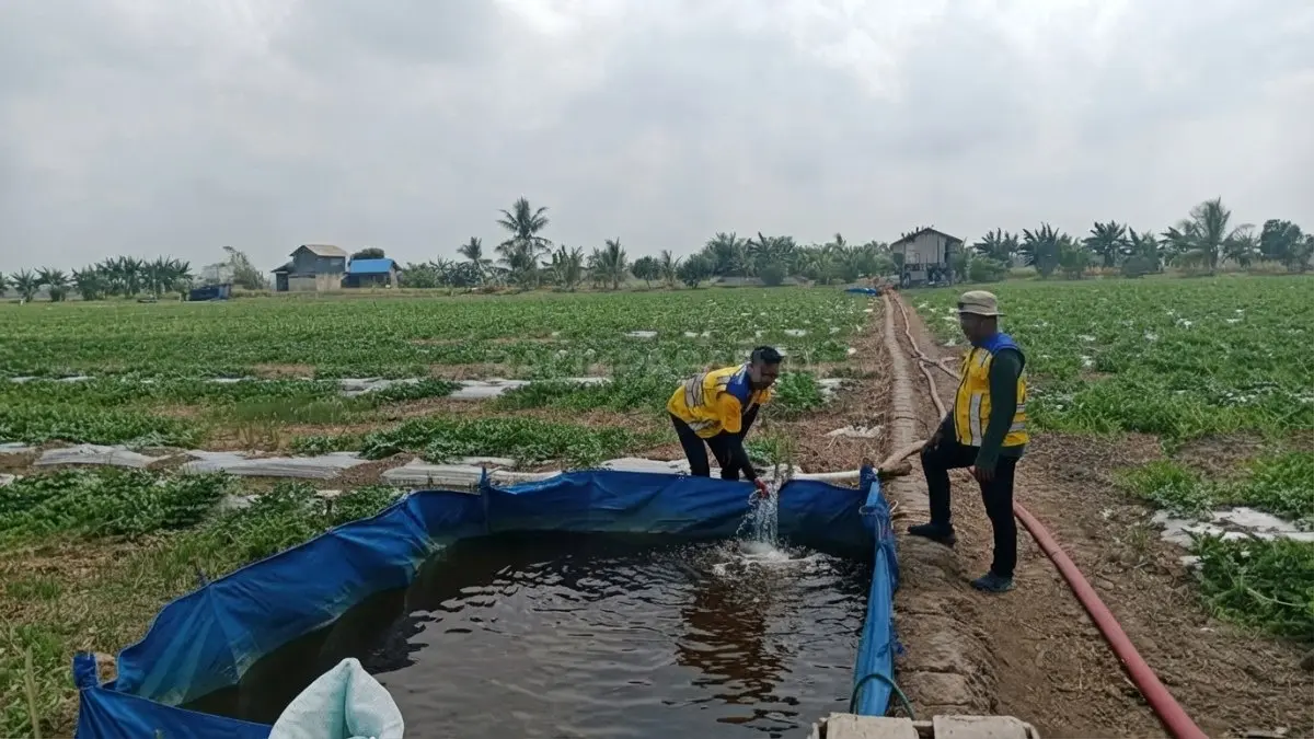 Wadah penampungan air disiapkan untuk membantu irigasi lahan semangka terdampak kekeringan. (DOK. AHMAD/KP)