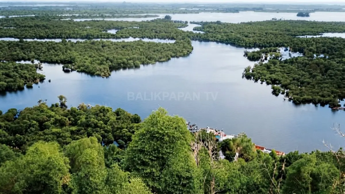 Danau Sentarum berubah mengikuti musim, menampilkan hutan rawa, perairan, dan alur air yang berbeda. (BTV/AI)