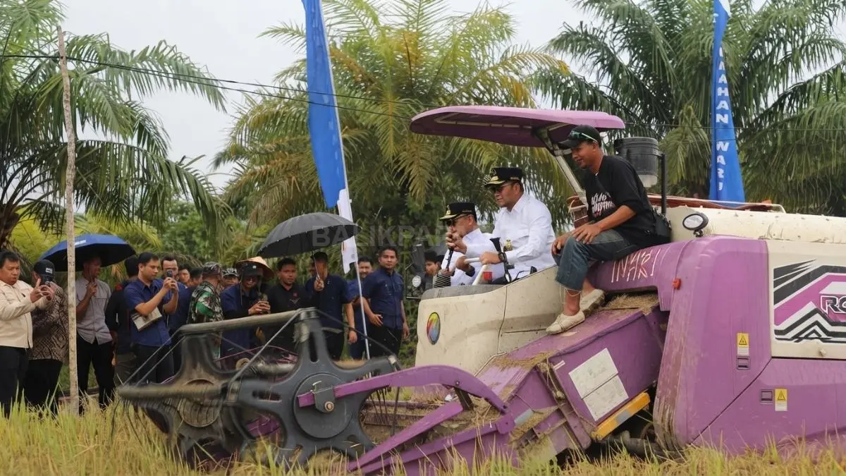 Gubernur Kaltim Rudy Mas’ud bersama kelompok tani saat panen raya padi di Kelurahan Waru, Kecamatan Waru, Penajam Paser Utara.
