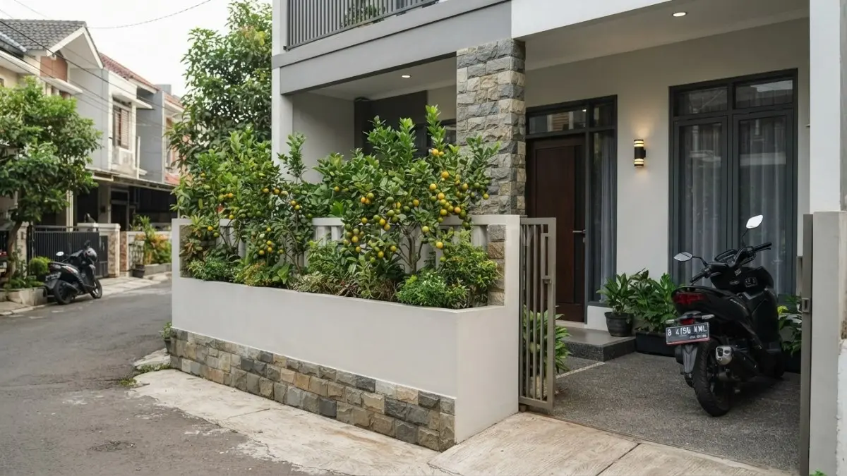 Planter box bata ringan berplester dengan tanaman buah di teras rumah minimalis selebar 6 meter.
