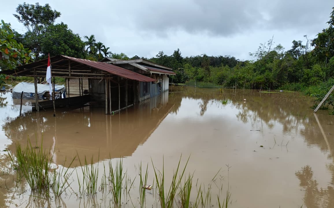 Banjir merendam rumah warga akibat hujan deras di Kabupaten Gunung Mas, Rabu (20/8/2025). BPPBD KALTENG