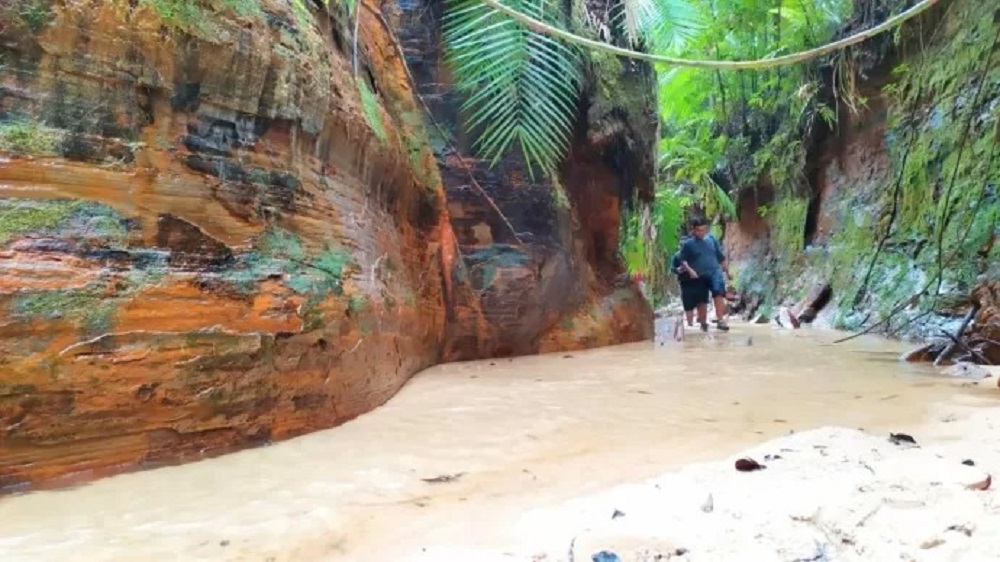 Hutan Juata Kerikil, Tarakan, Kalimantan Barat