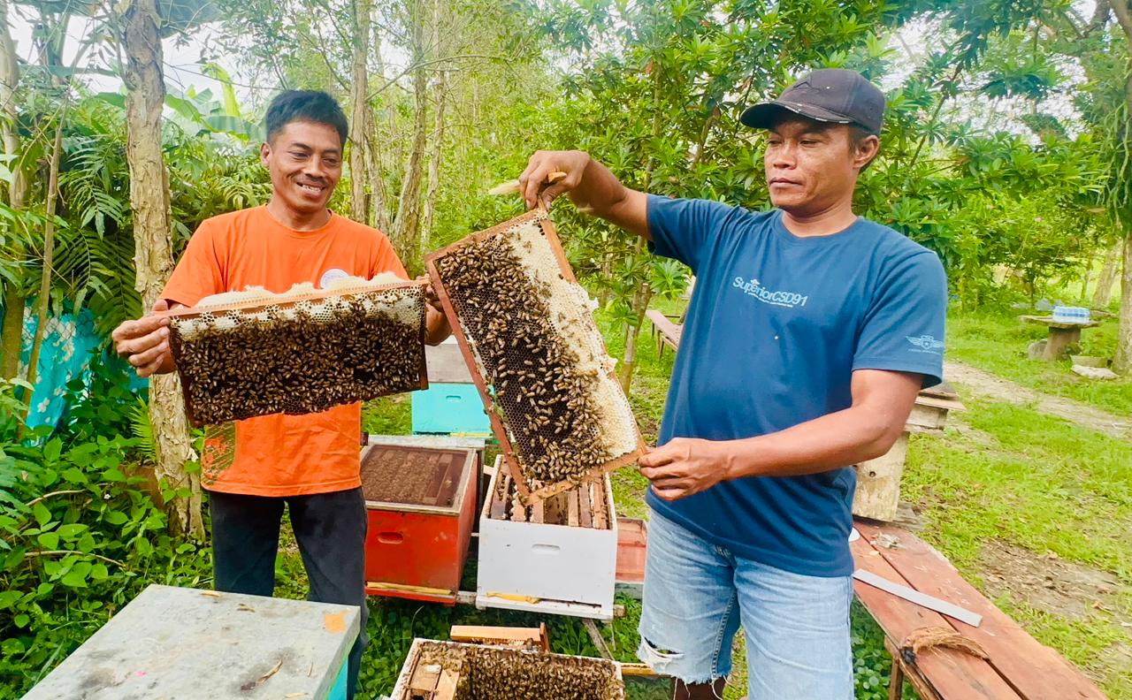 Budiyana (kiri) bersama Walyono (kanan) saat memanen madu lebah mellifera di Borneo Mellifera Kalampangan, Senin siang (8/9/2025). BUDHI SEPRATAMA PUTRA/KALTENG POS
