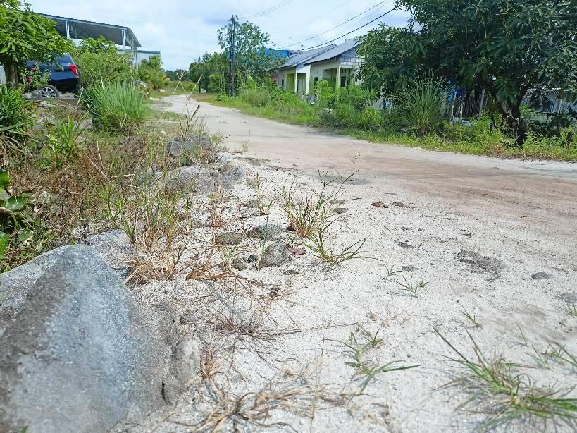 Wali Kota Pusing, Warganya Tambah Pusing, Pembangunan Jalan Lingkungan dan Drainase di Kota Palangka Raya Tahun 2026 Terancam Ditiadakan