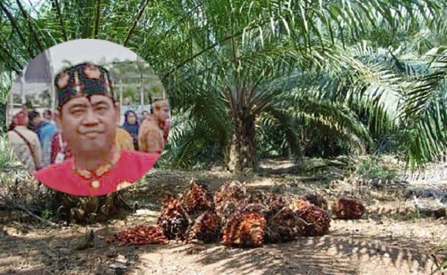 Ketua DAD Seruyan, Nurhadi