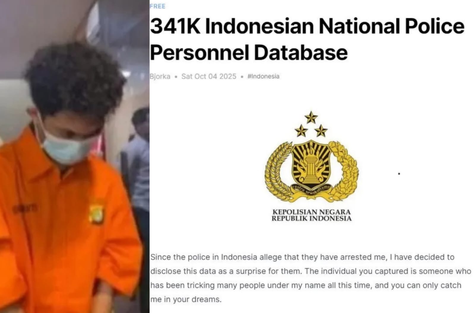 Polisi telah menangkap Bjorka belum lama ini.