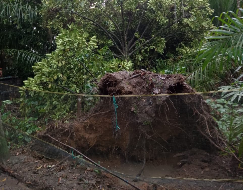 Dampak angin puting beliung