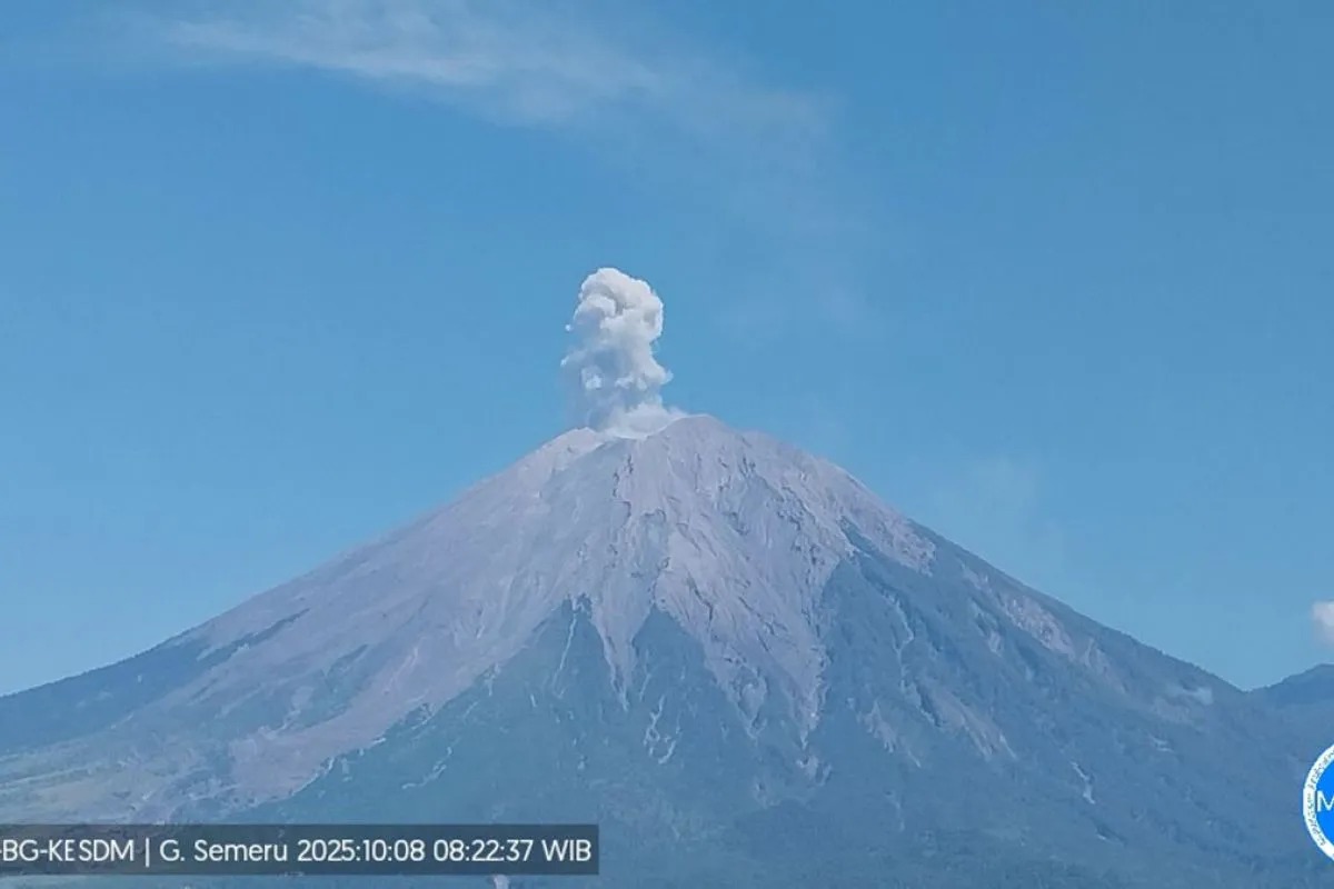 Gunung Semeru di Jawa Timur erupsi. (ANTARA)