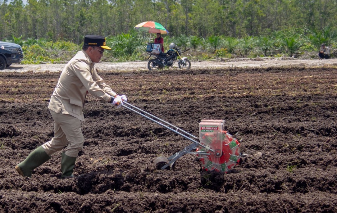 Gubernur Kalteng Agustiar Sabran memimpin tanam jagung di Jalan Tumbang Talaken.ARIEF PRATHAMA/KALTENG POS