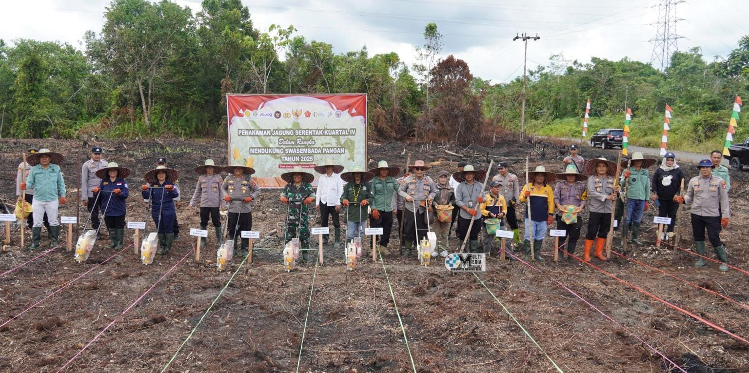 Pemkab Murung Raya, TNI, Polri dan stakeholder terkait penanaman jagung serentak.HUMAS