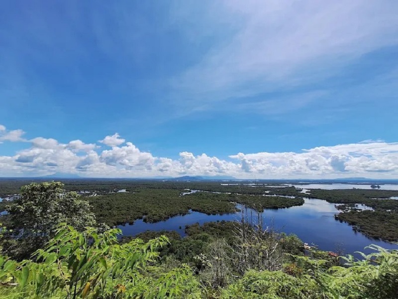 Taman Nasional Danau Sentarum.