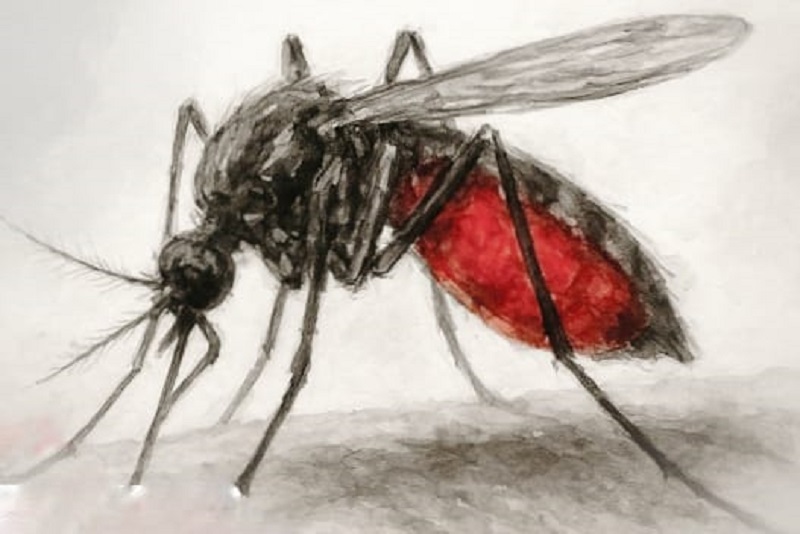 Ilustrasi nyamuk. VIRROYANNIZZA/KALTENG POS