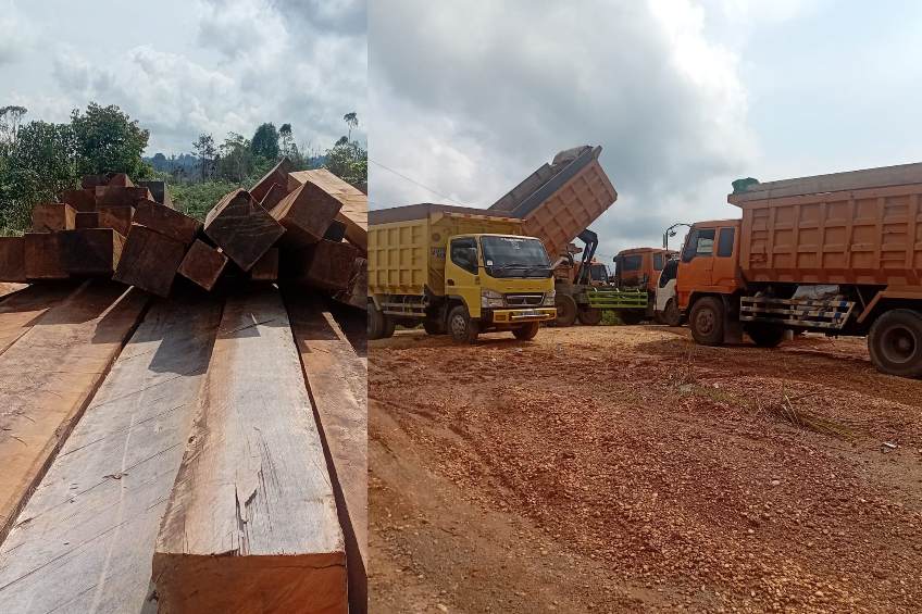 Kayu yang sudah diturunkan.SCREENSHOOT VIDEO
