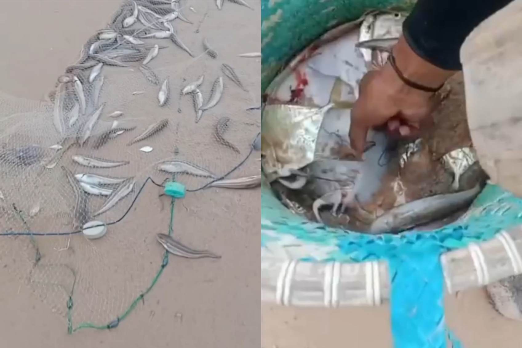 Gerombolan ikan di Pantai Ujung Pandaran.SCREENSHOOT