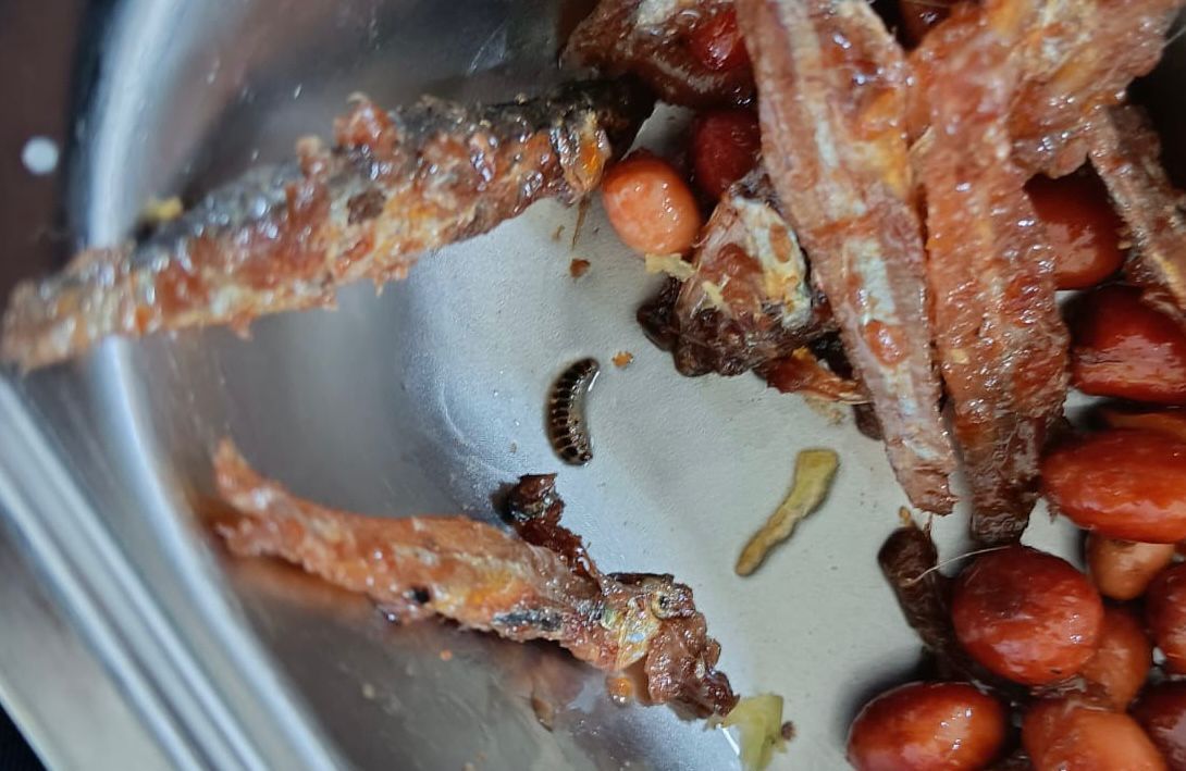 Ditemukan ulat di ompreng dengan lauk ikan teri dan kacang