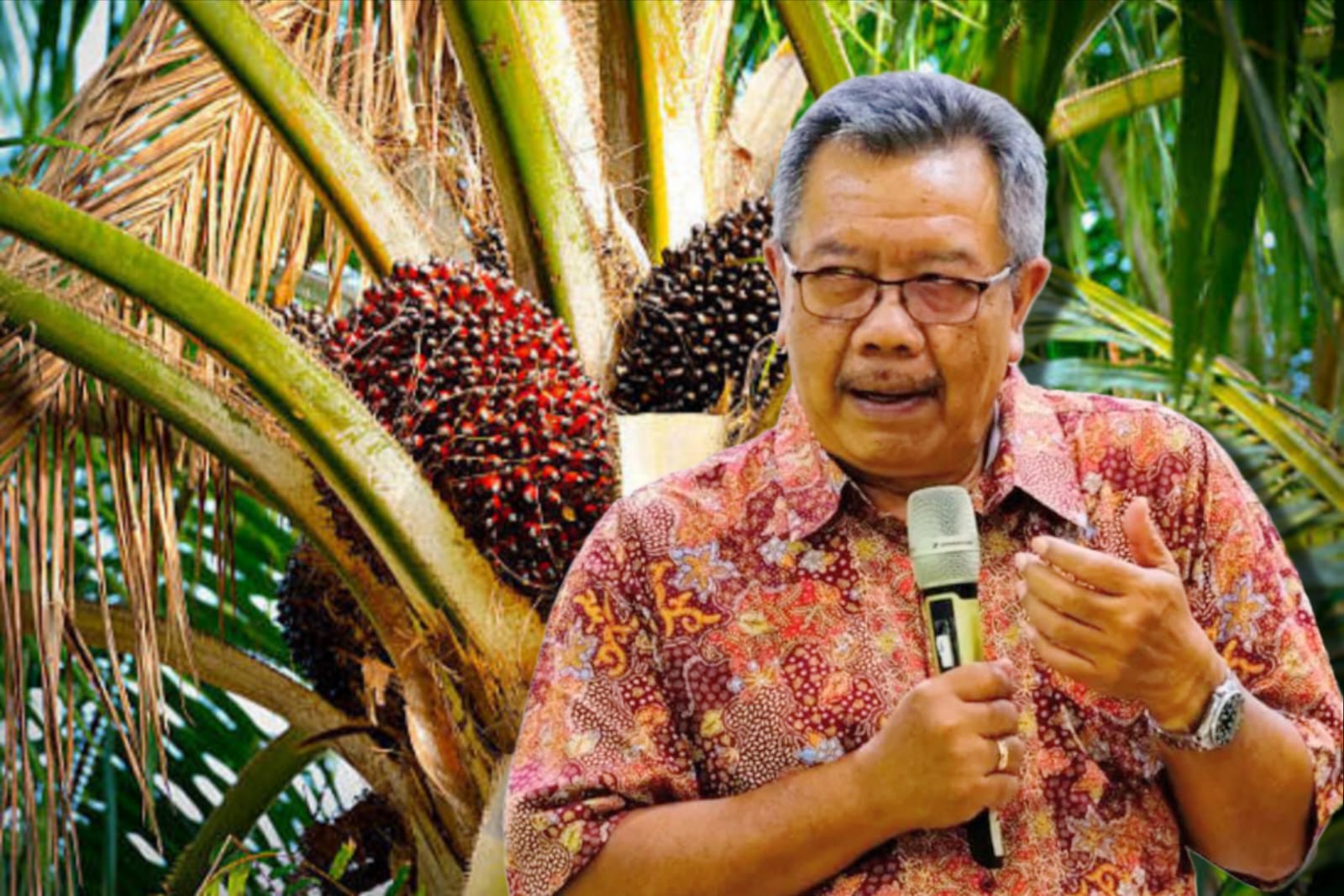 Guru Besar Fakultas Kehutanan dan Lingkungan IPB, Prof. Dr. Ir. Sudarsono Soedomo