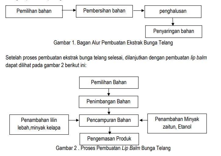 Proses pengolahan produk komestik bunga telang.