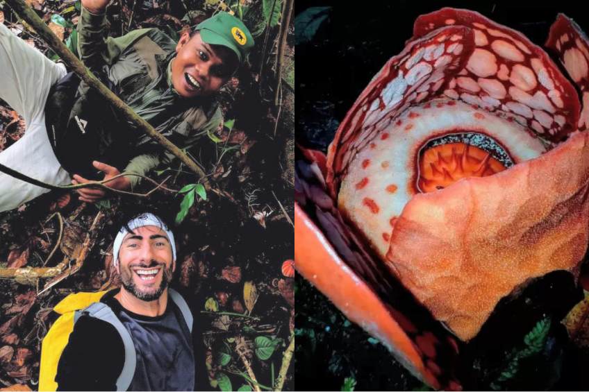 Chris Thorogood bersama Septian Andriki dalam misi penemuan bunga Rafflesia Hasseltii.X @THOROGOODCHRIS1