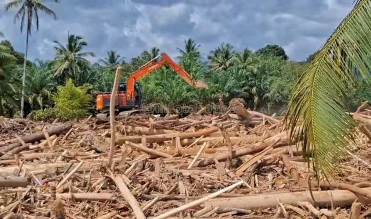 Kayu gelondongan terbawa banjir.INSTAGRAM INFO TAPANULI NASIONAL