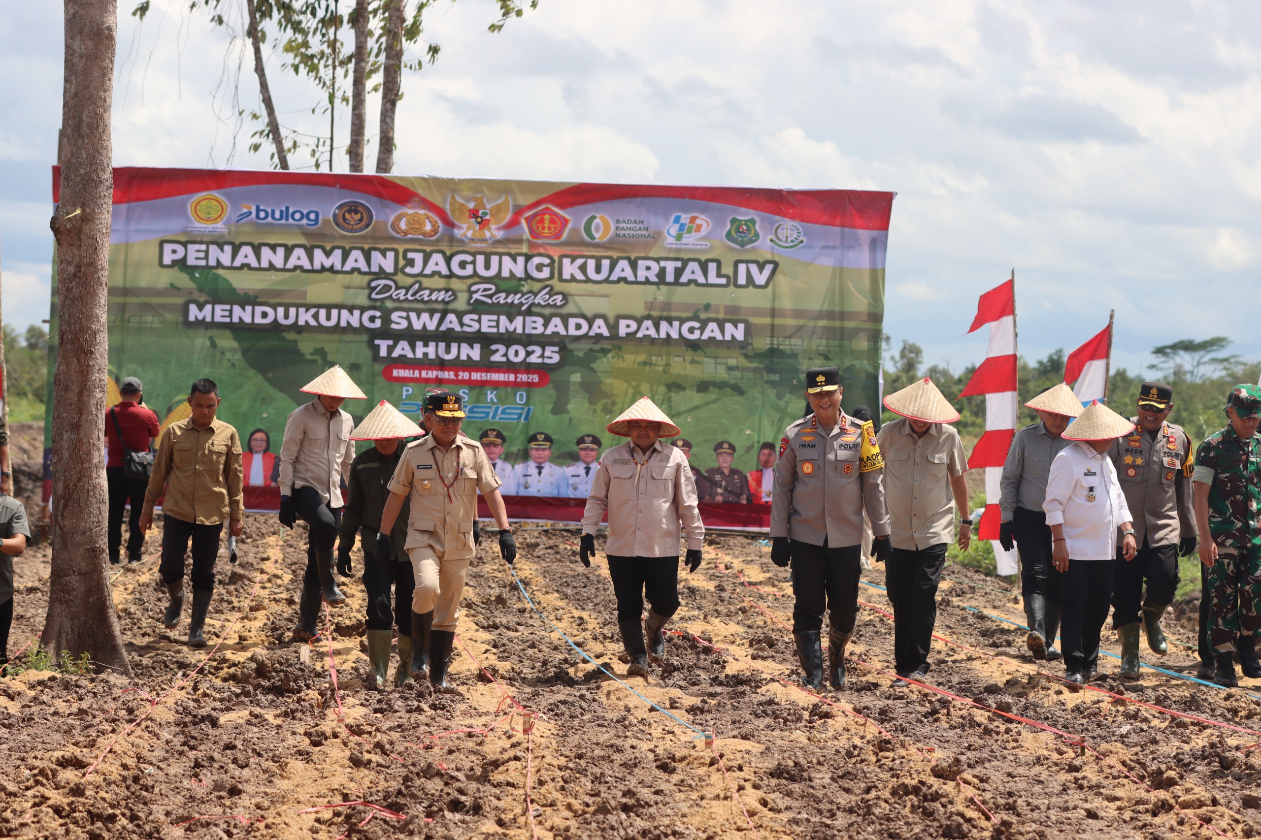Penanaman jagung di Desa Sei Asam, Kapuas.