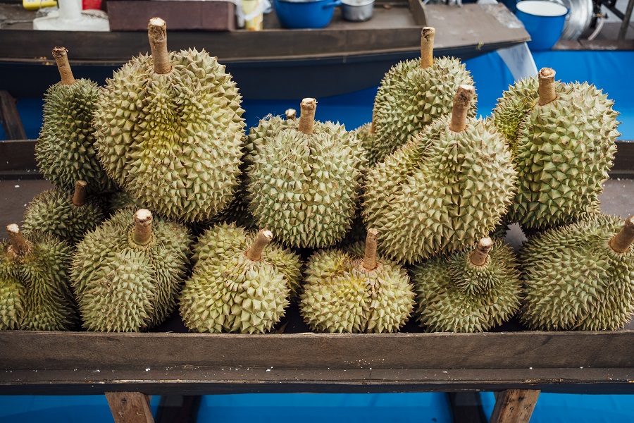 ILUSTRASI : Mitos dan Fakta tentang durian di dunia medis. FREEPIK