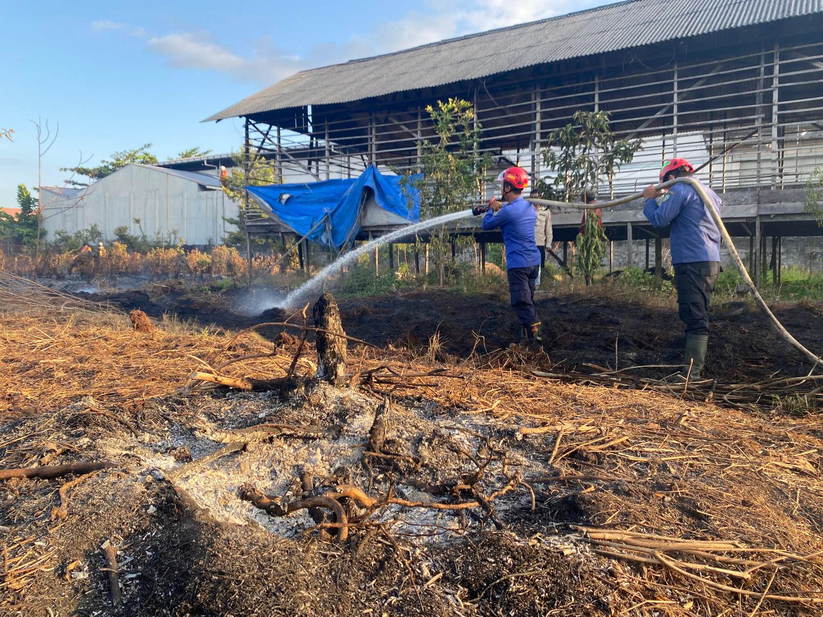 Pemadaman karhutla oleh petugas BPBD. BPBD KOTIM