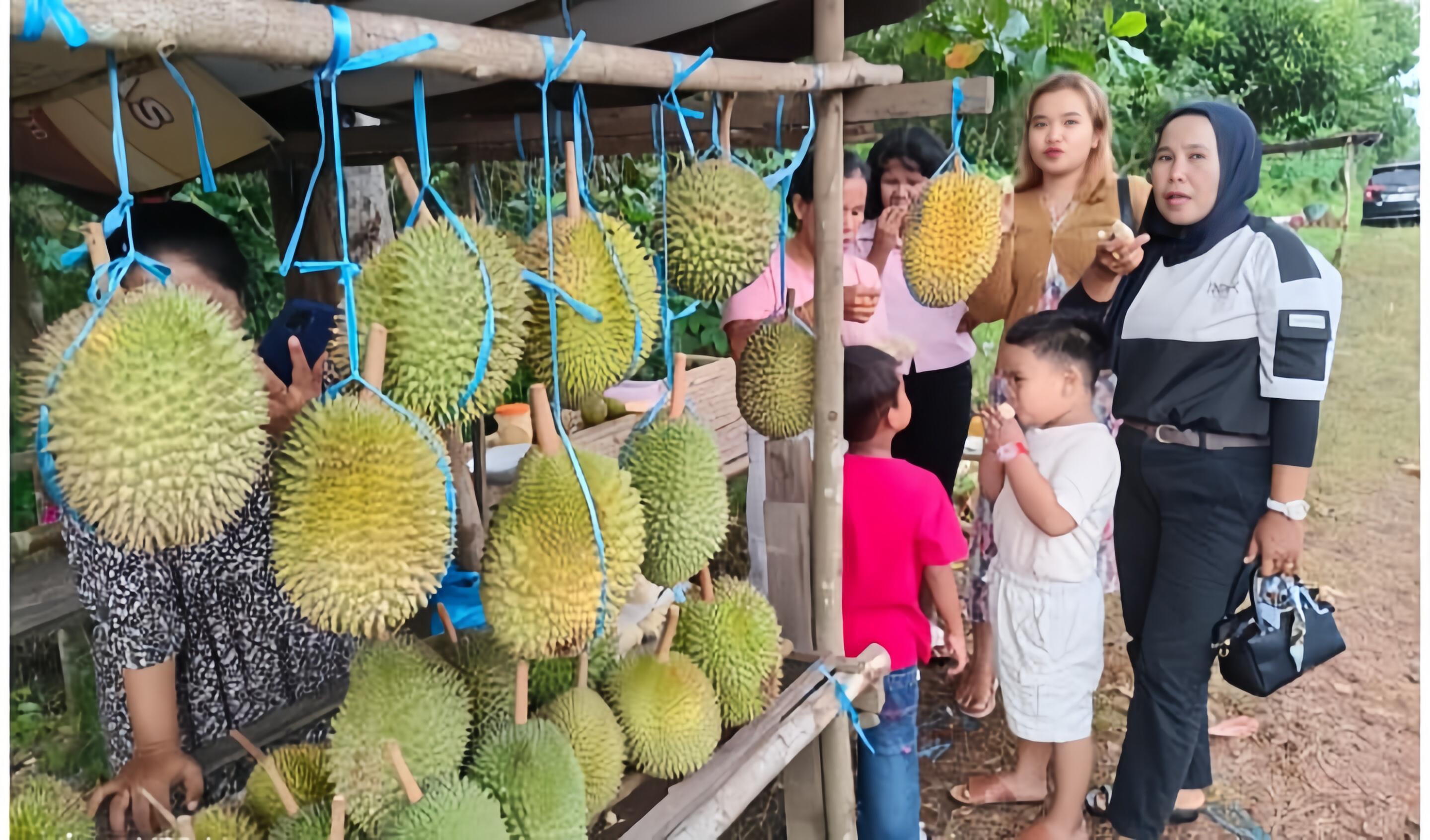 Deretan lapak durian di sepanjang jalur Kecamatan Cempaga.MIFTAH/KALTENGPOS.JAWAPOS.COM