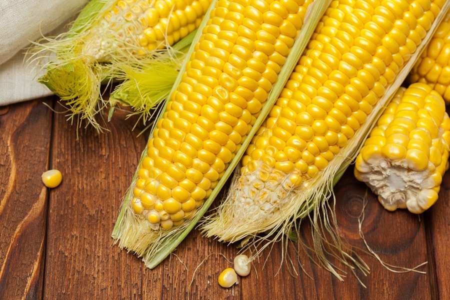 ILUSTRASI : Turunkan berat badan dengan konsumsi jagung. FREEPIK