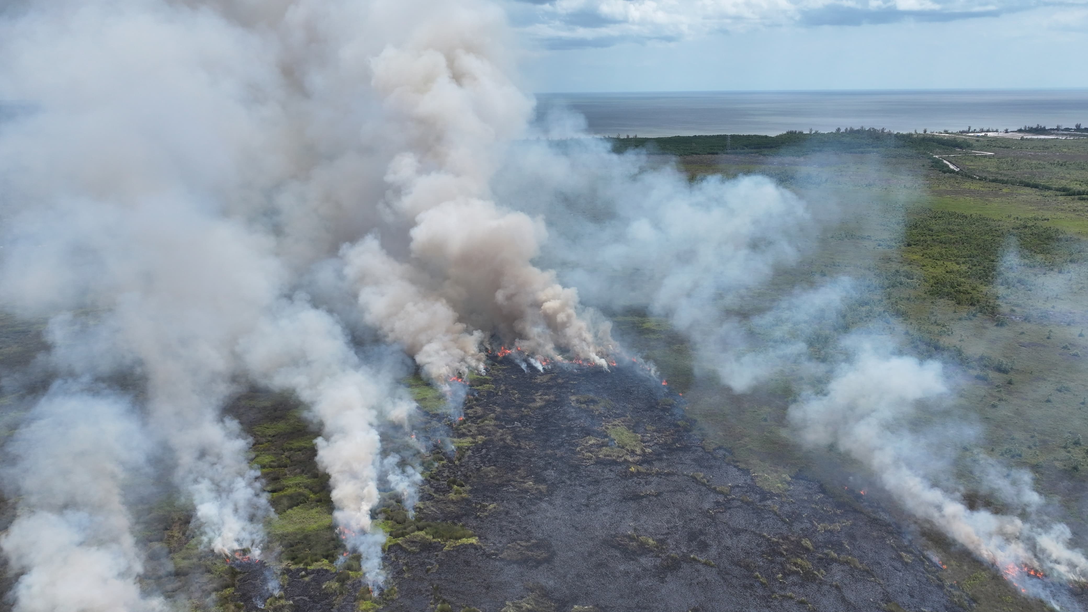 Kebakaran lahan di Ujung Pandaran.BPBD KOTIM