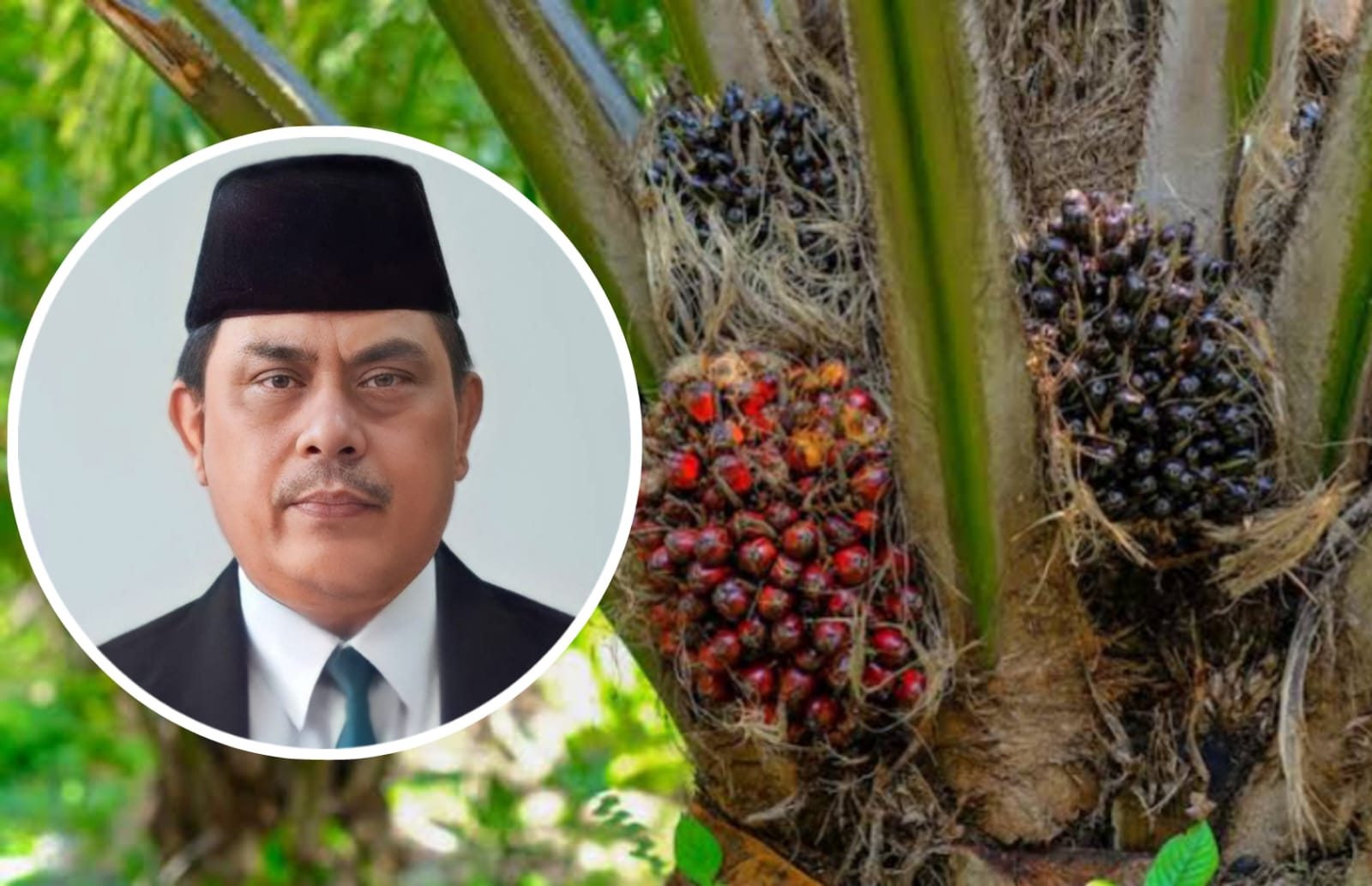 Penggiat ekonomi Kalteng, Benius, M.M., Ph.D., CIBA