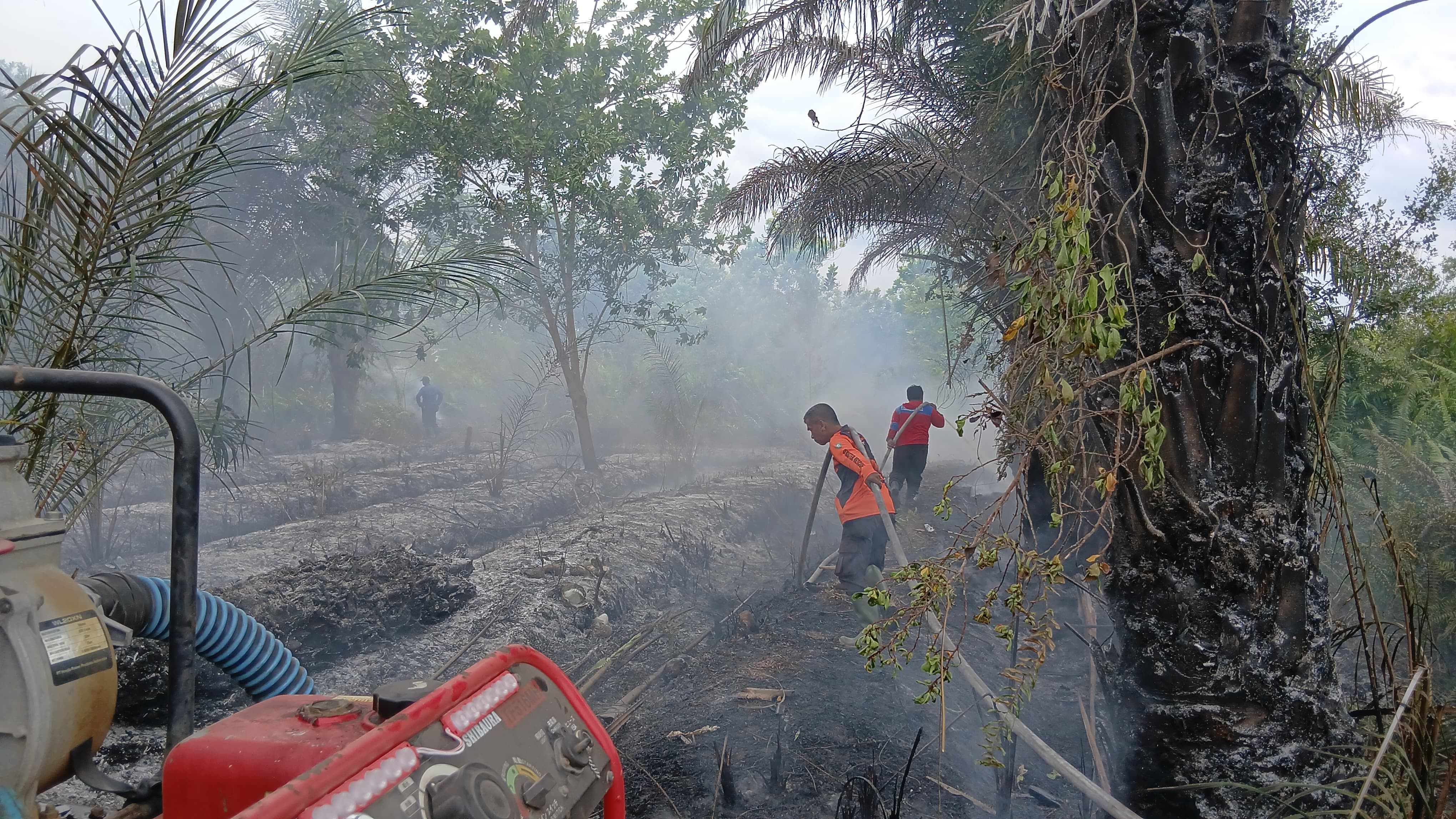 Kebakaran lahan di Jalan Bawi Jahawen.BPBD