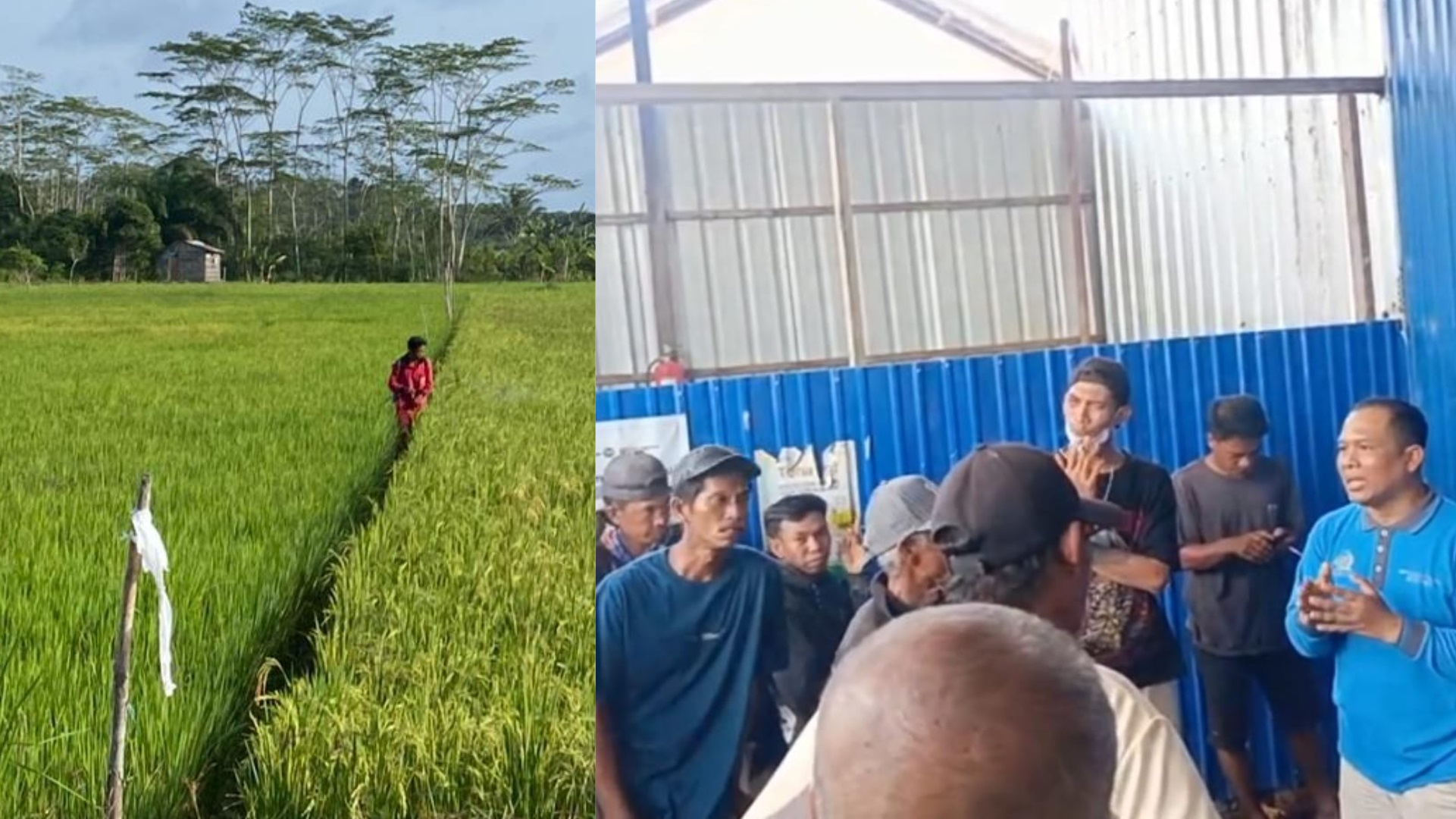 Petani di Desa Lampuyang melayangkan protes.