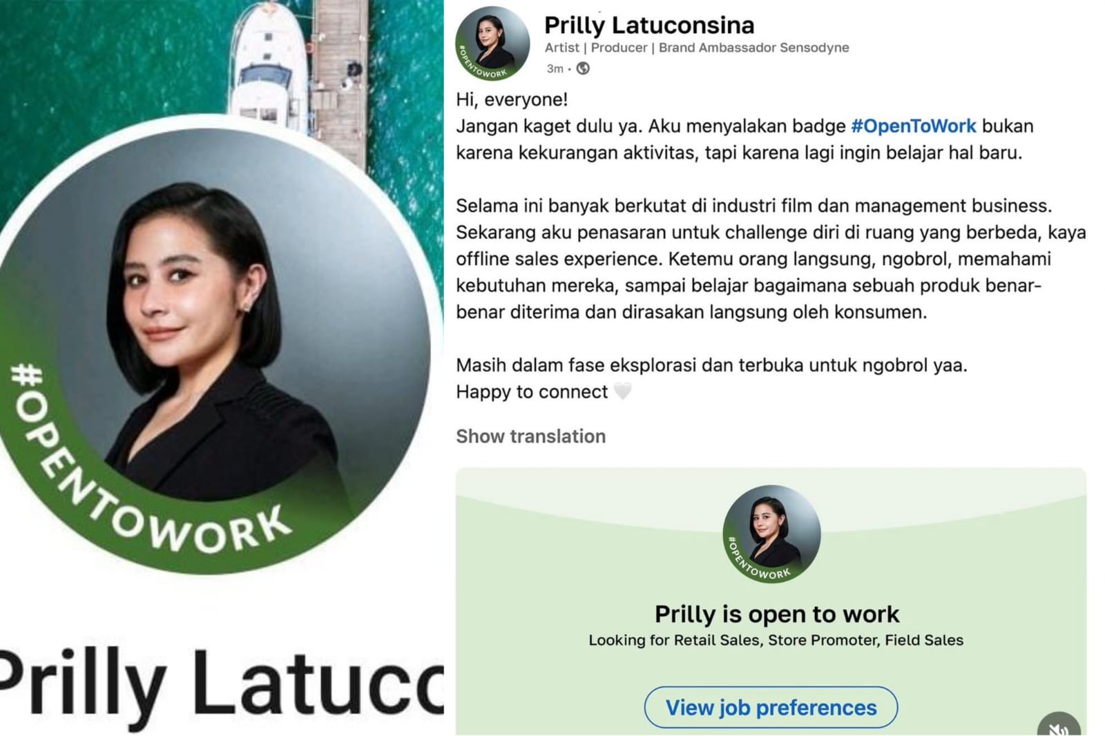 Akun LinkedIn Prilly Latuconsina.