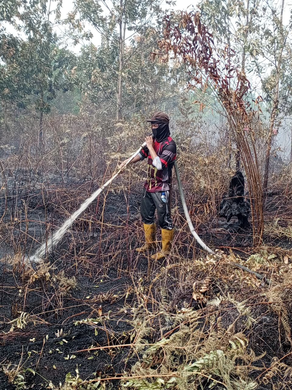 Pemadaman karhutla.BPBD