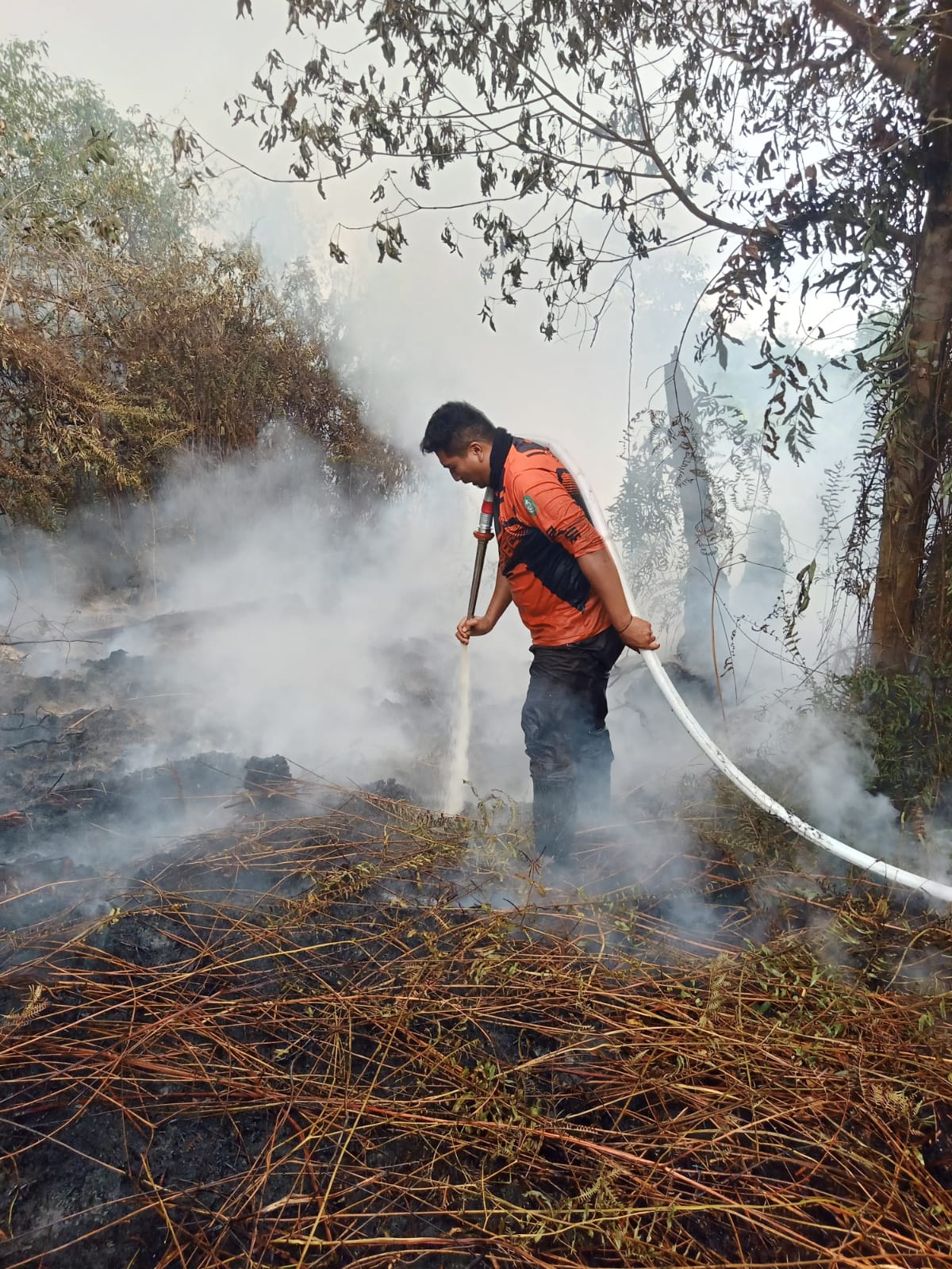 Petugas melakukan pemadaman di lahan terbakar.BPBD