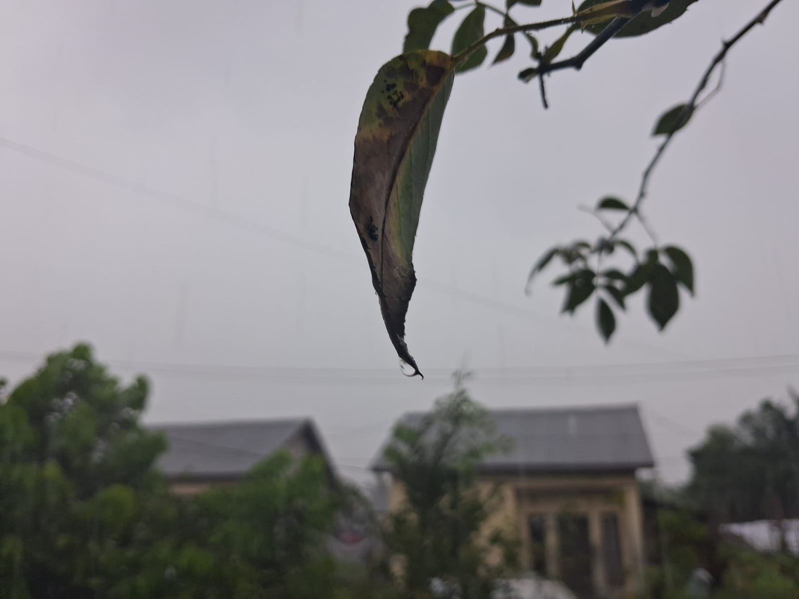 Awan mendung di Kota Palangka Raya.
