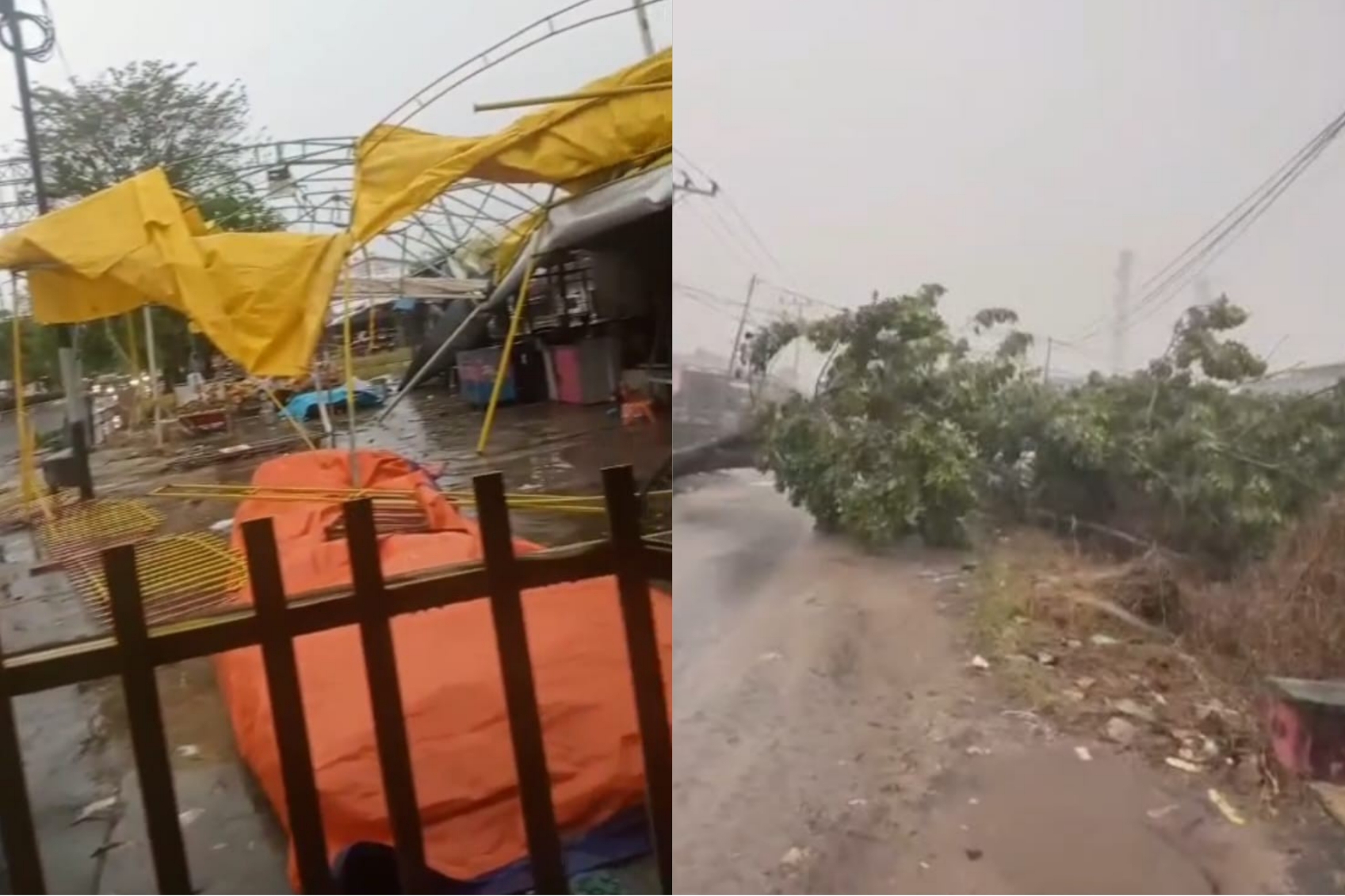 Kondisi tenda dan pohon yang tumbang.SCREENSHOOT