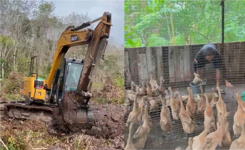 Warga Desa Purwodadi mendapatkan subsidi ketika ingin menyewa excavator, BUMDes Purwodadi juga mengembangkan peternakan.