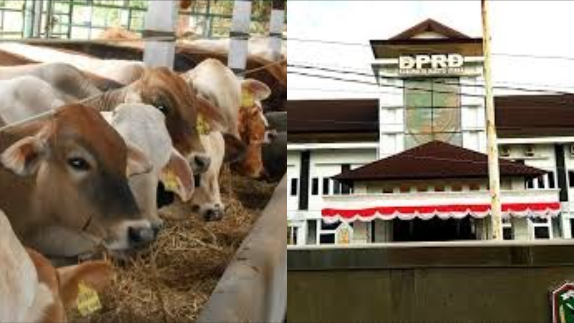 Anggota DPRD dan sejumlah perusahaan penyedia diperiksa Kejari Barito Utara.